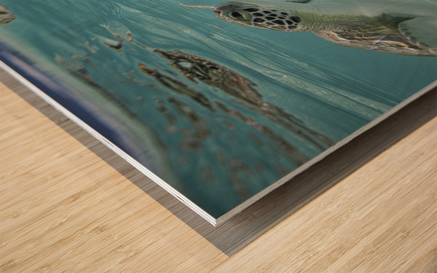 The Two Wood print