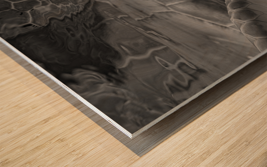 Soul Searching Wood print