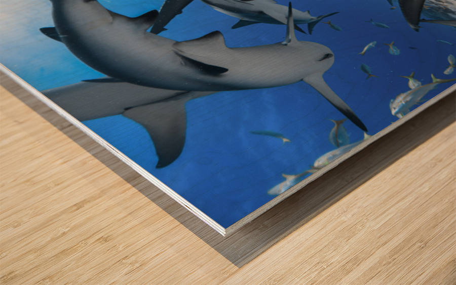 Cerulean Cyclone Wood print