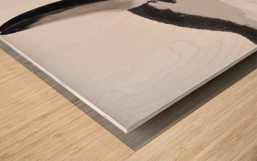 Flap & Flatter Wood print