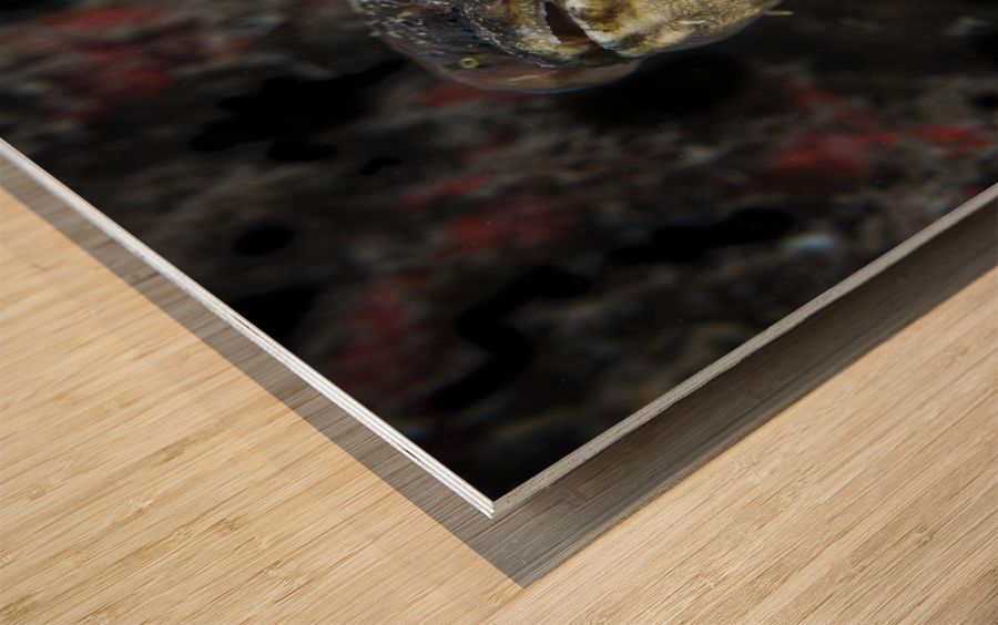 Galaxy Wood print