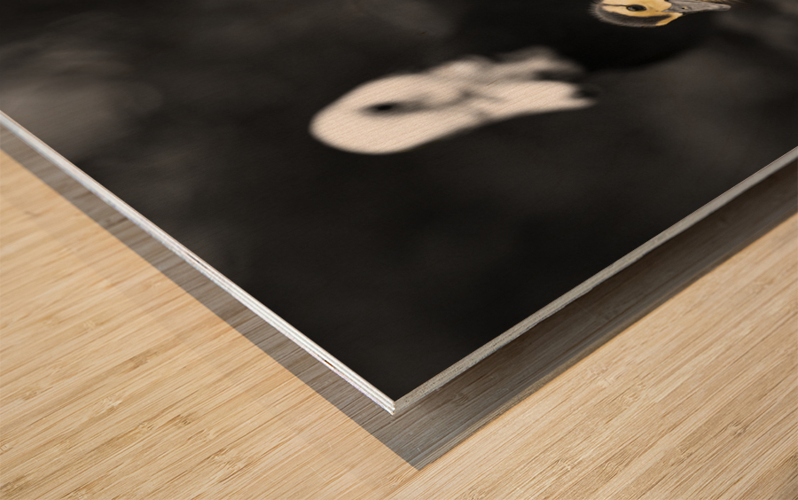 Chirp & Waddle Wood print