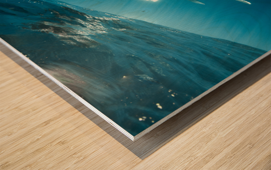 Aurora Wood print