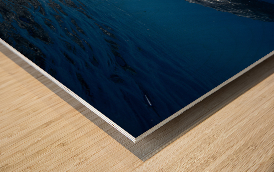 Bond Wood print