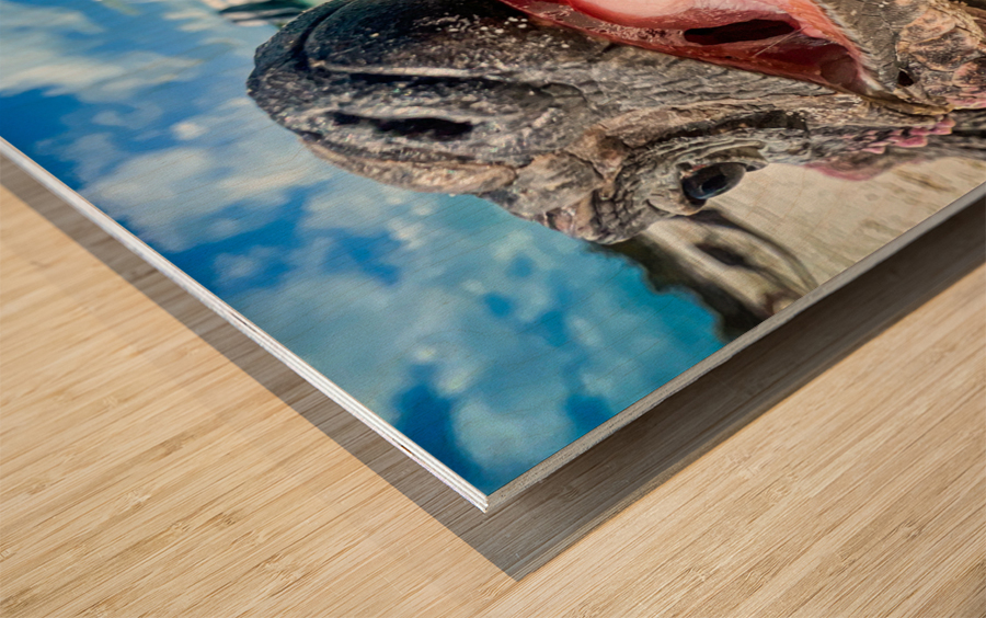 Wazaaap Wood print