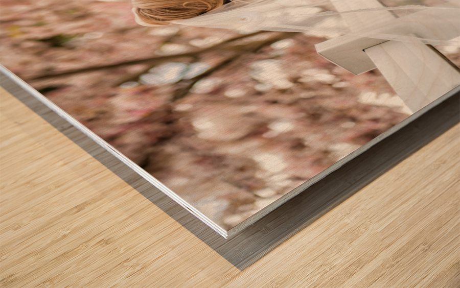 3Panel Wood print