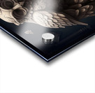 THE WISE OWL  Acrylic print