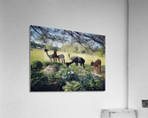 Lead The Sheep Acrylic Print