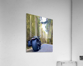 BiKE LOVE Acrylic Print