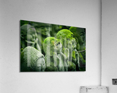 Green Asians  Acrylic Print