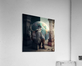 WHATS NEXT  Acrylic Print