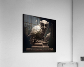 THE WISE OWL  Acrylic Print