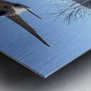 Bikes And Flights Metal print