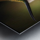 My Peco bird  Impression metal