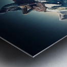 MY WORLD Metal print