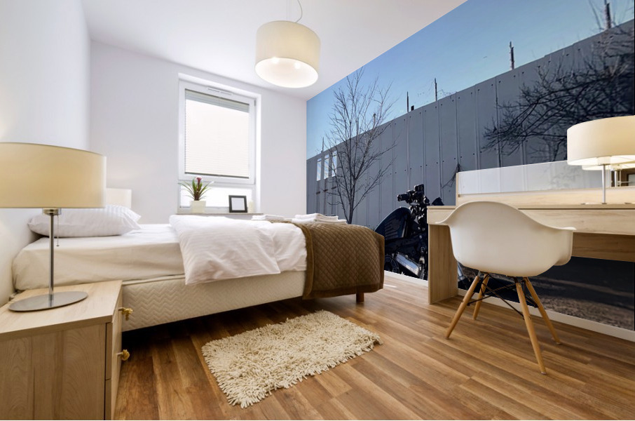 Bikes And Flights Mural print