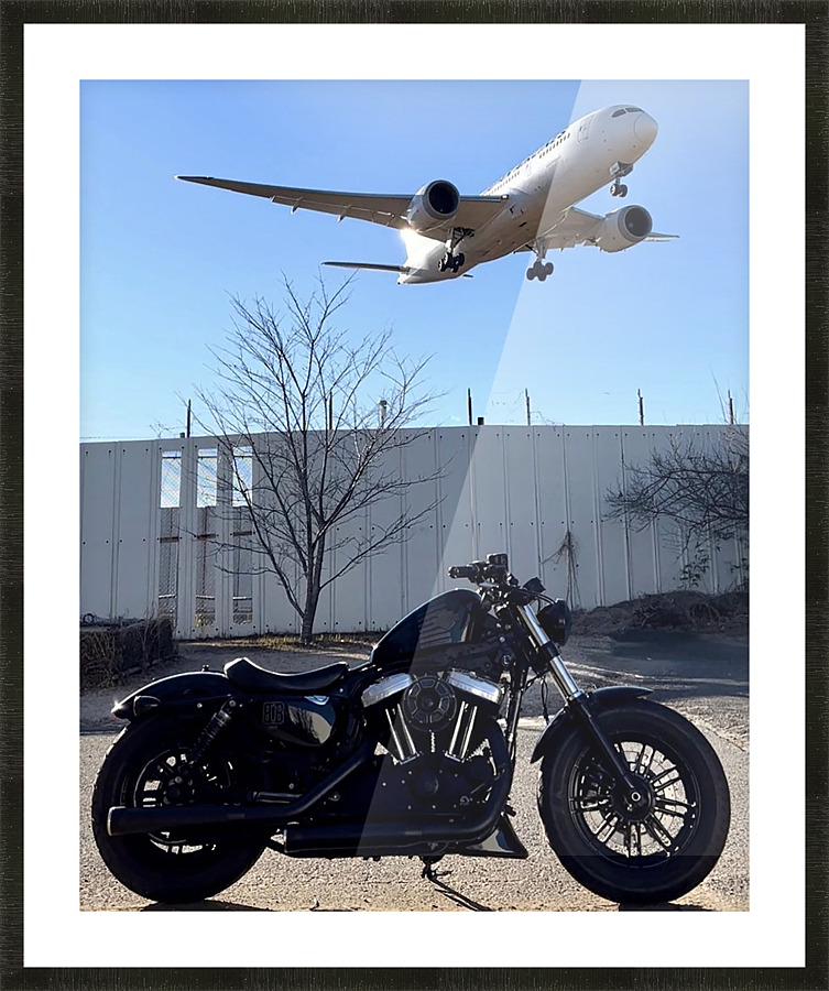Bikes And Flights Picture Frame print