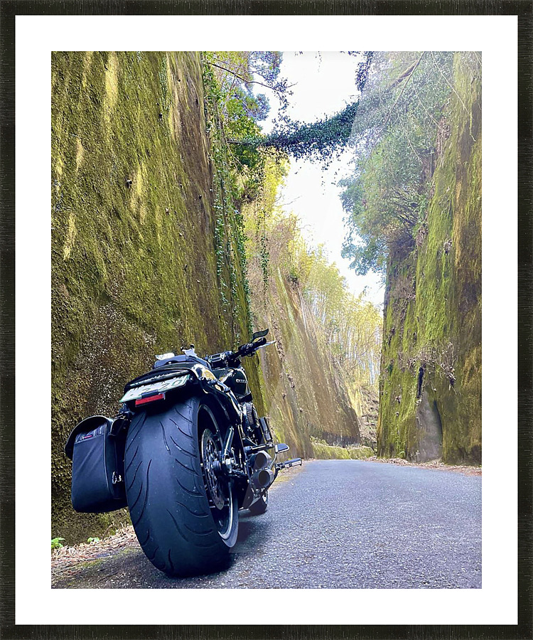 BiKE LOVE Picture Frame print