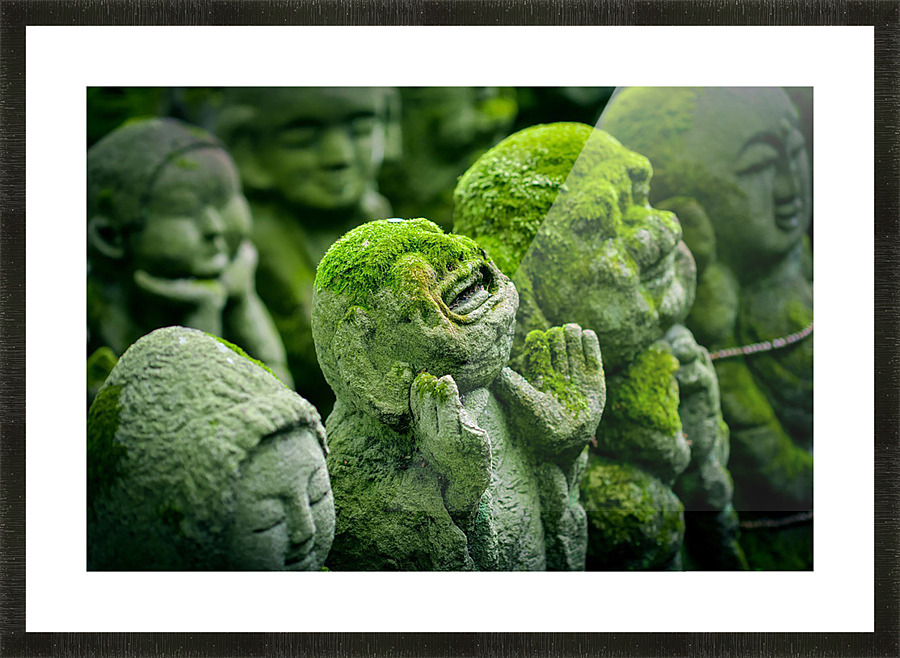 Green Asians  Picture Frame print