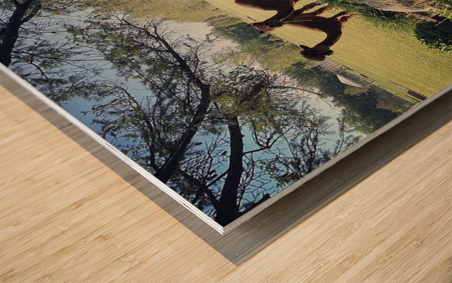 Lead The Sheep Wood print