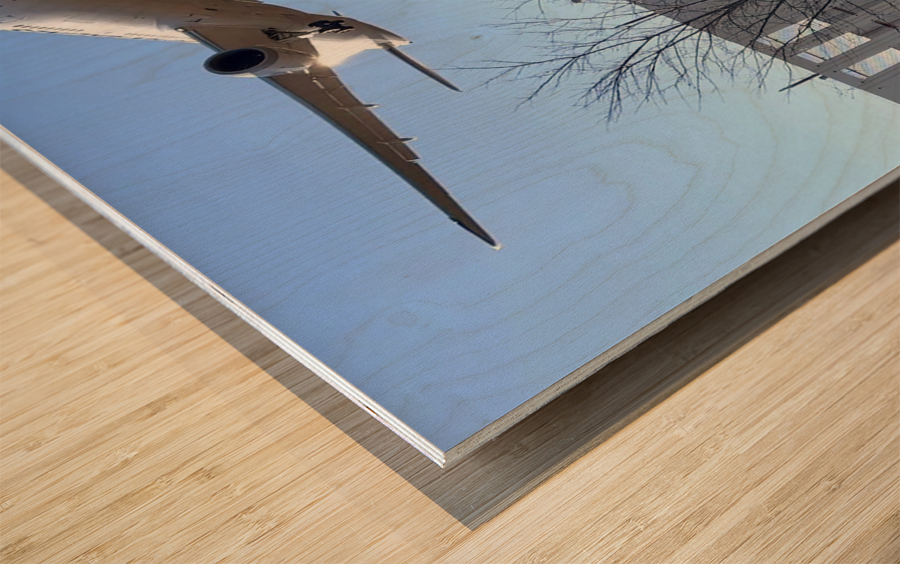 Bikes And Flights Wood print