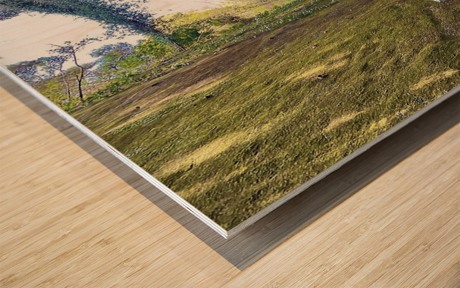 BiKE LOVE Wood print