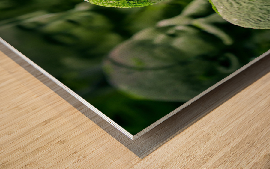 Green Asians  Wood print