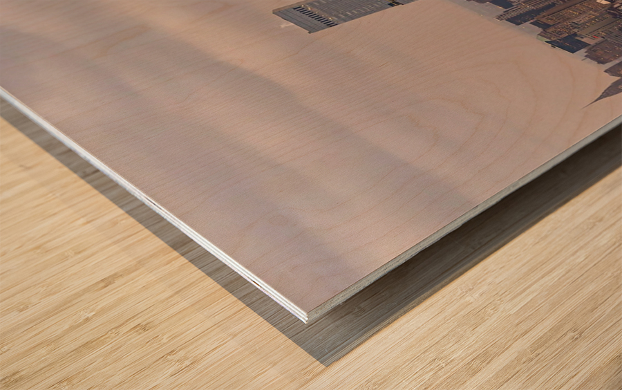 Big City Views   2 Wood print