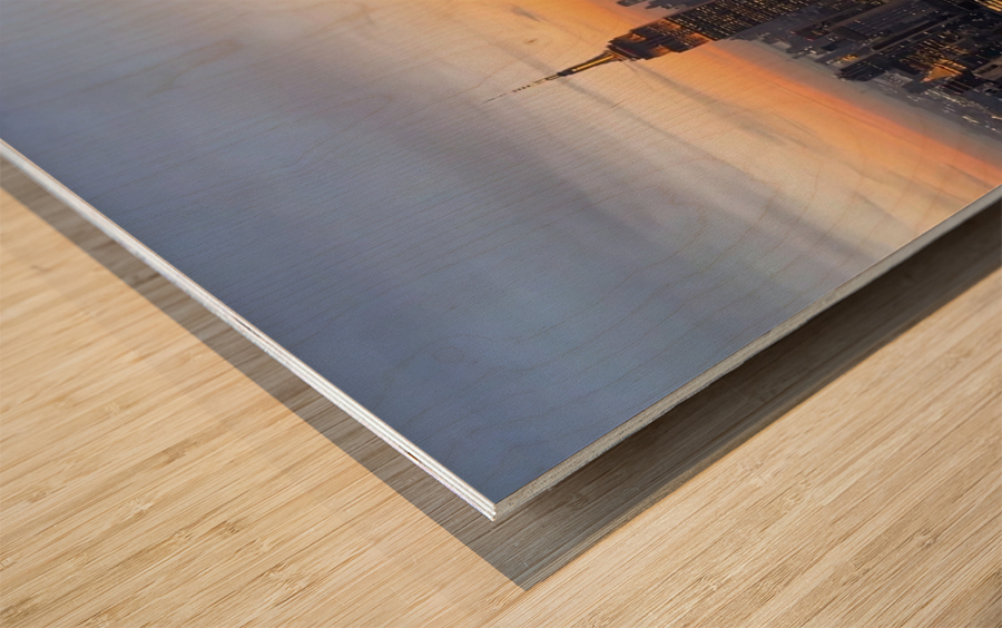 Big City Views Wood print