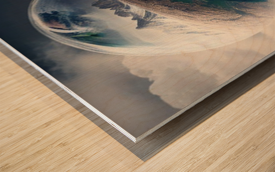 NEW WORLD Wood print