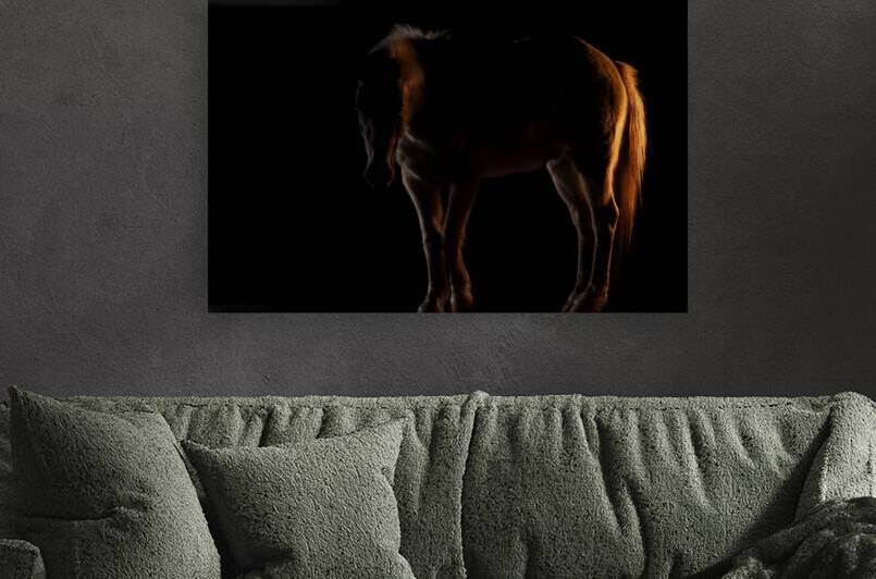 Red Roan Horse Portrait: Blue Eyed Red 69A4229 T Pict by Jim Ward