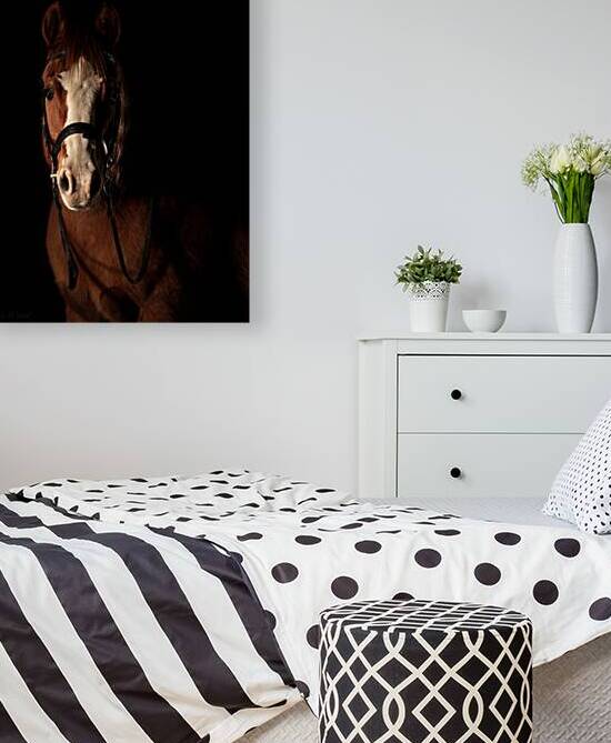 Red Dun Paint Horse Portrait: Dun So Hot 69A3694 T Pict by Jim Ward