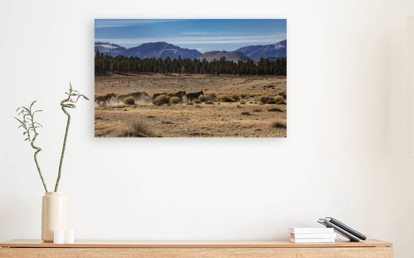 Mono Lake Wild Horse Herd & Sierra Nevada Mountains 69A0776 T Pict by Jim Ward