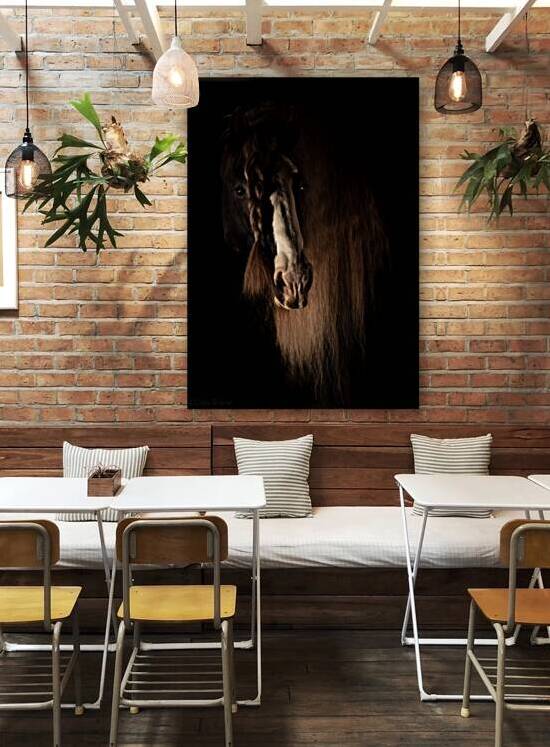 Drum Stallion Horse Portrait: Clydsdale & Gypsy Vanner Mix: Shirefox Revel 69A3963 T Pict by Jim Ward