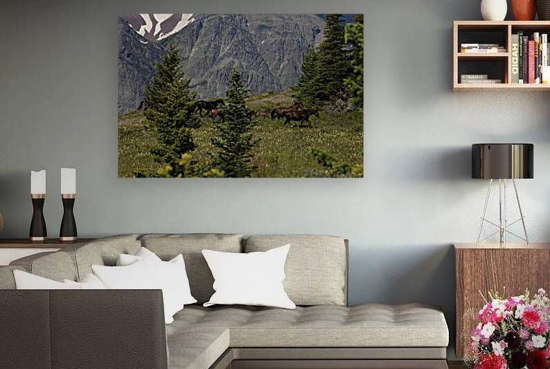 Wild Horses Grazing on Blackfeet Nation & Glacier National Park Peaks 69A7176 T Pict by Jim Ward