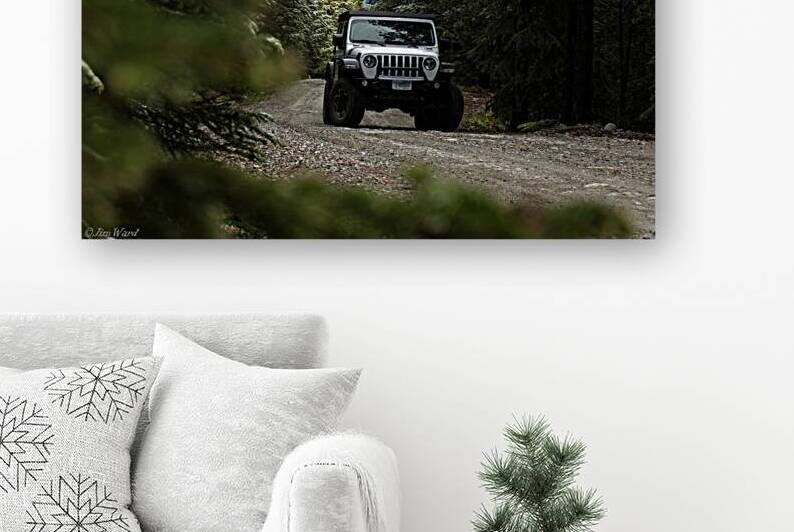 Jeep Wrangler Forested Mountain Road Rocky Mountains 69A6521 T Pict by Jim Ward