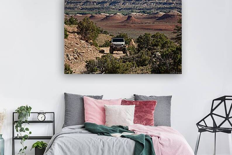 Jeep Wrangler Montana Pryor Mountain Desert 69A6626 T Pict by Jim Ward