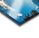 Dreamlight Acrylic print