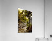 Jurassic Jungle Acrylic Print