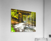 Tiki Bridge Acrylic Print