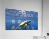 Sea Gems Acrylic Print