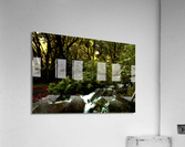 Nani Stream Acrylic Print