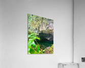 Grove Cavern Acrylic Print