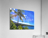 Sun Palm Acrylic Print