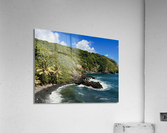Vintage Palm Acrylic Print