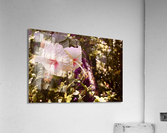My Flower Acrylic Print
