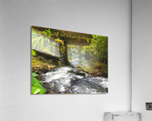 Tiki Times Acrylic Print