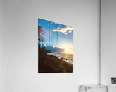 Dreamlight Acrylic Print
