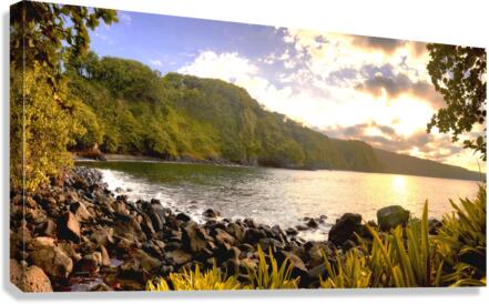 Kahiko Times Canvas Print
