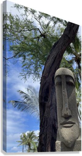 Tropical Tiki Canvas Print
